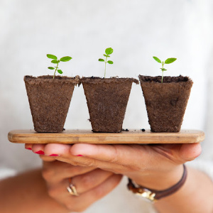 You either grow, or you die – How to Help Your Business Deal with Growing Pains