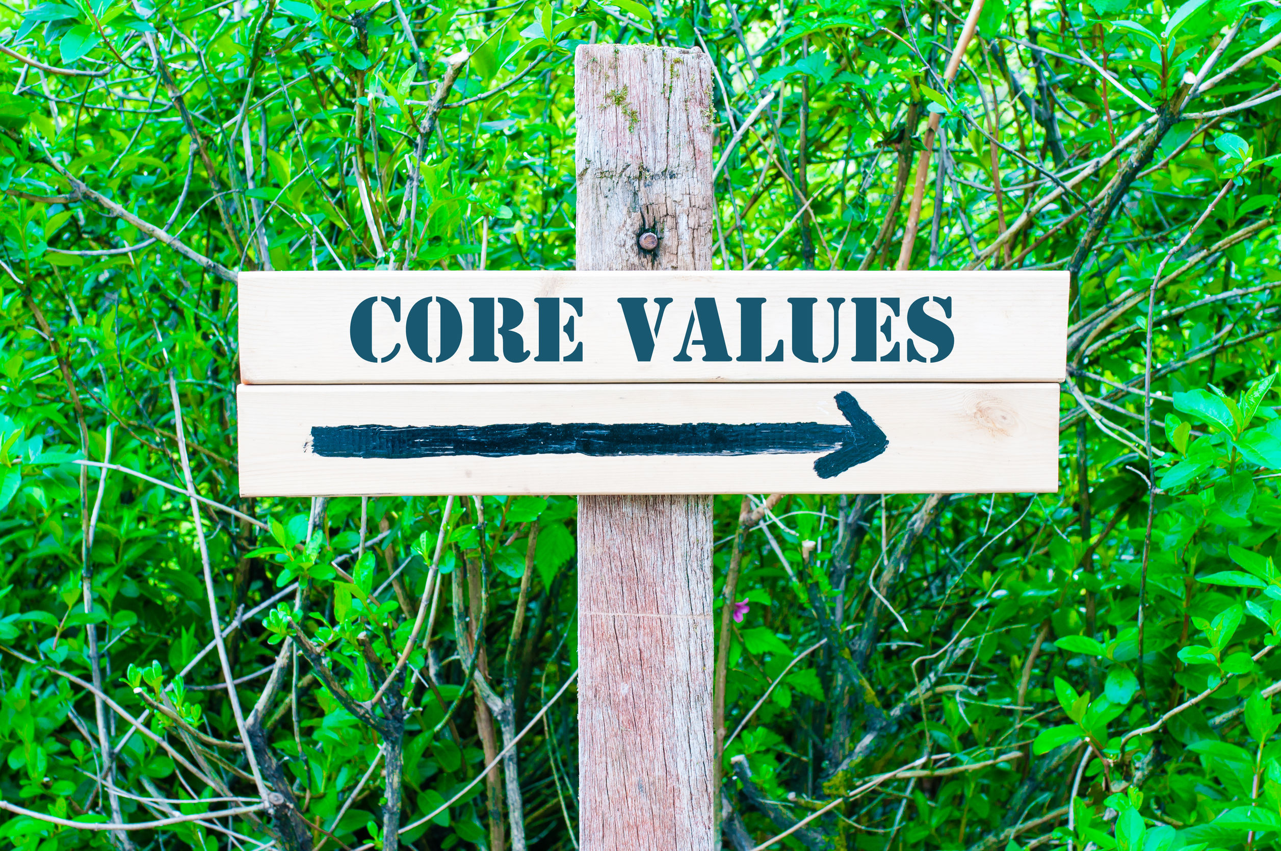 Core Values to Guide You to Your Goals 