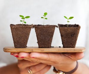 You either grow, or you die – How to Help Your Business Deal with Growing Pains