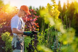 professional landscaper